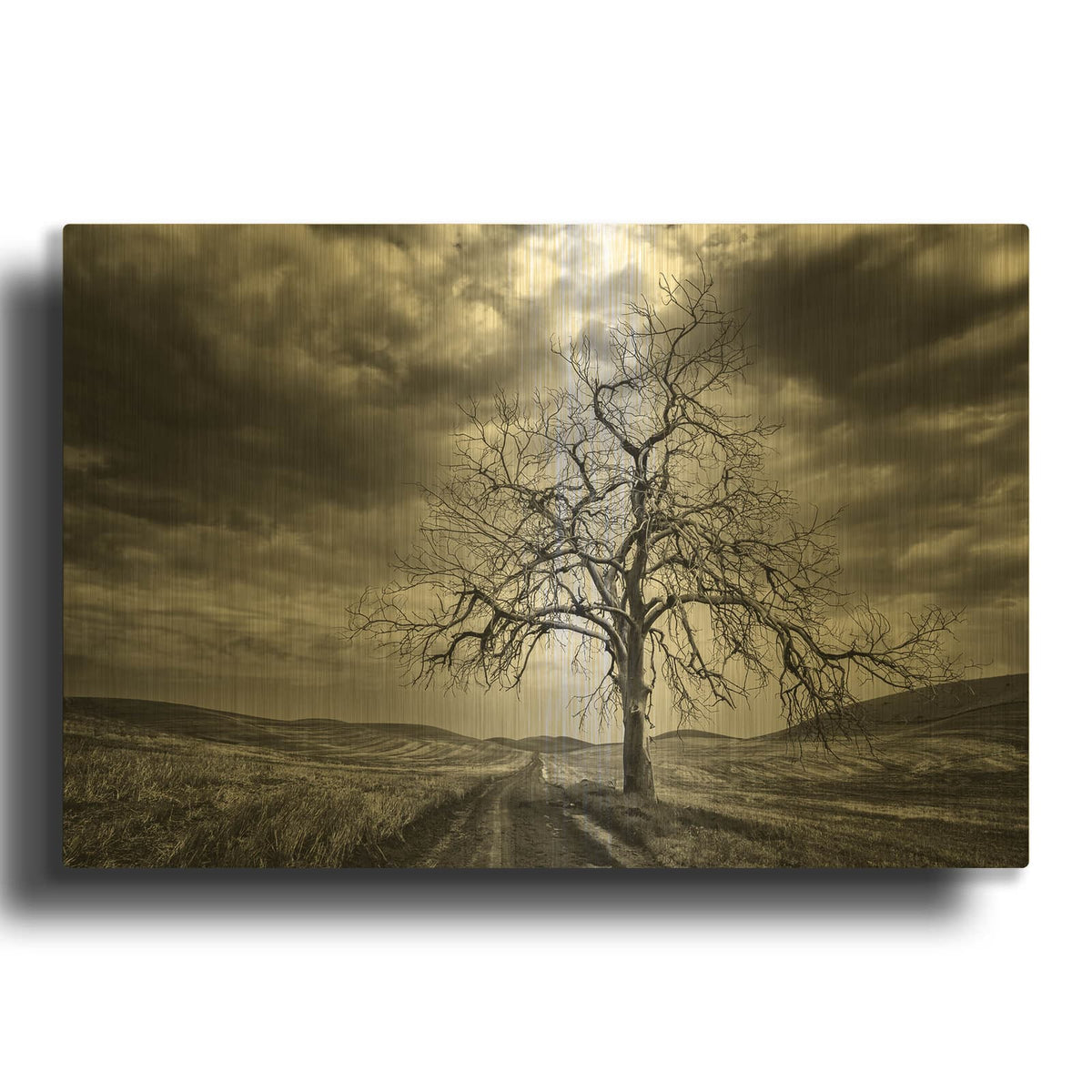 'The Road To Nowhere' By Rick Berk Gold Metal Wall Art
