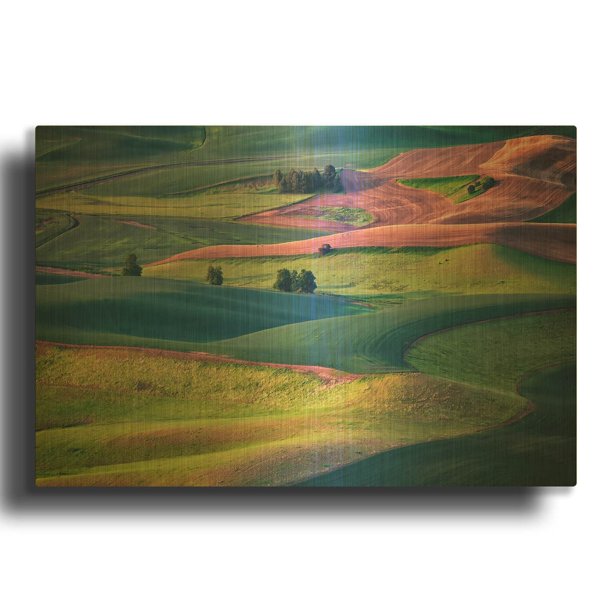 'Early Morning In The Palouse' By Rick Berk Gold Metal Wall Art