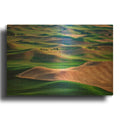 'Undulation' By Rick Berk Gold Metal Wall Art