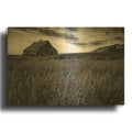 'Forgotten In The Fields' By Rick Berk Gold Metal Wall Art