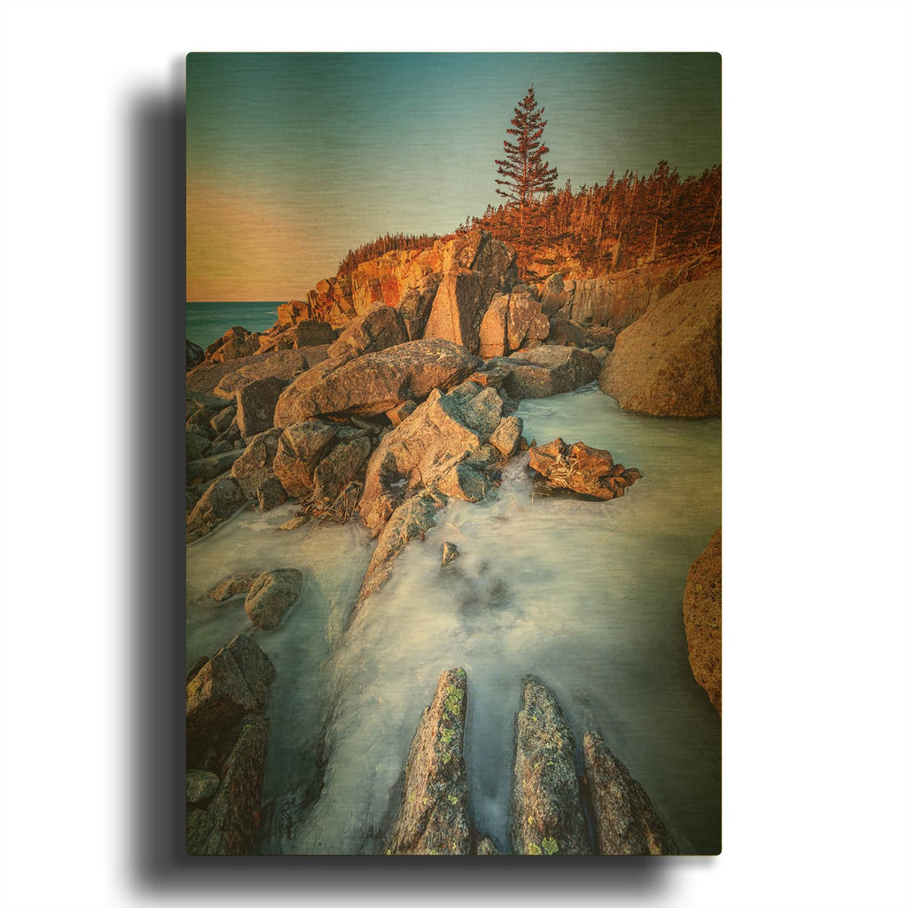 'Frozen Morning At Quoddy Head' By Rick Berk Gold Metal Wall Art