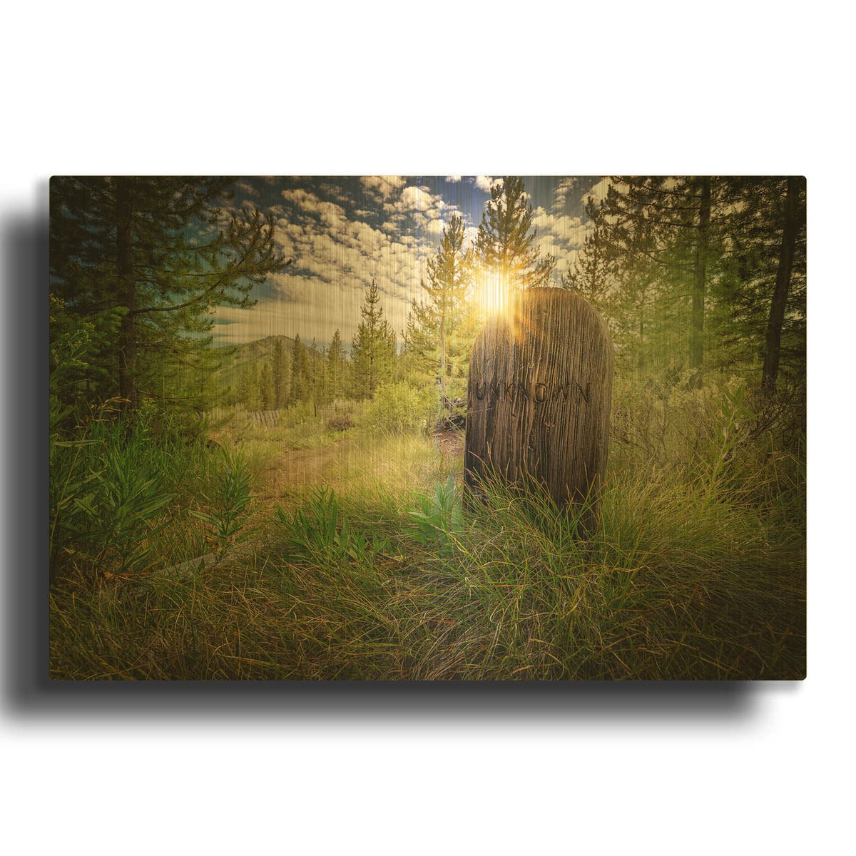 'Bonanza Cemetery' By Rick Berk Gold Metal Wall Art