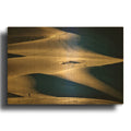 'Photographing The Dunes' By Rick Berk Gold Metal Wall Art