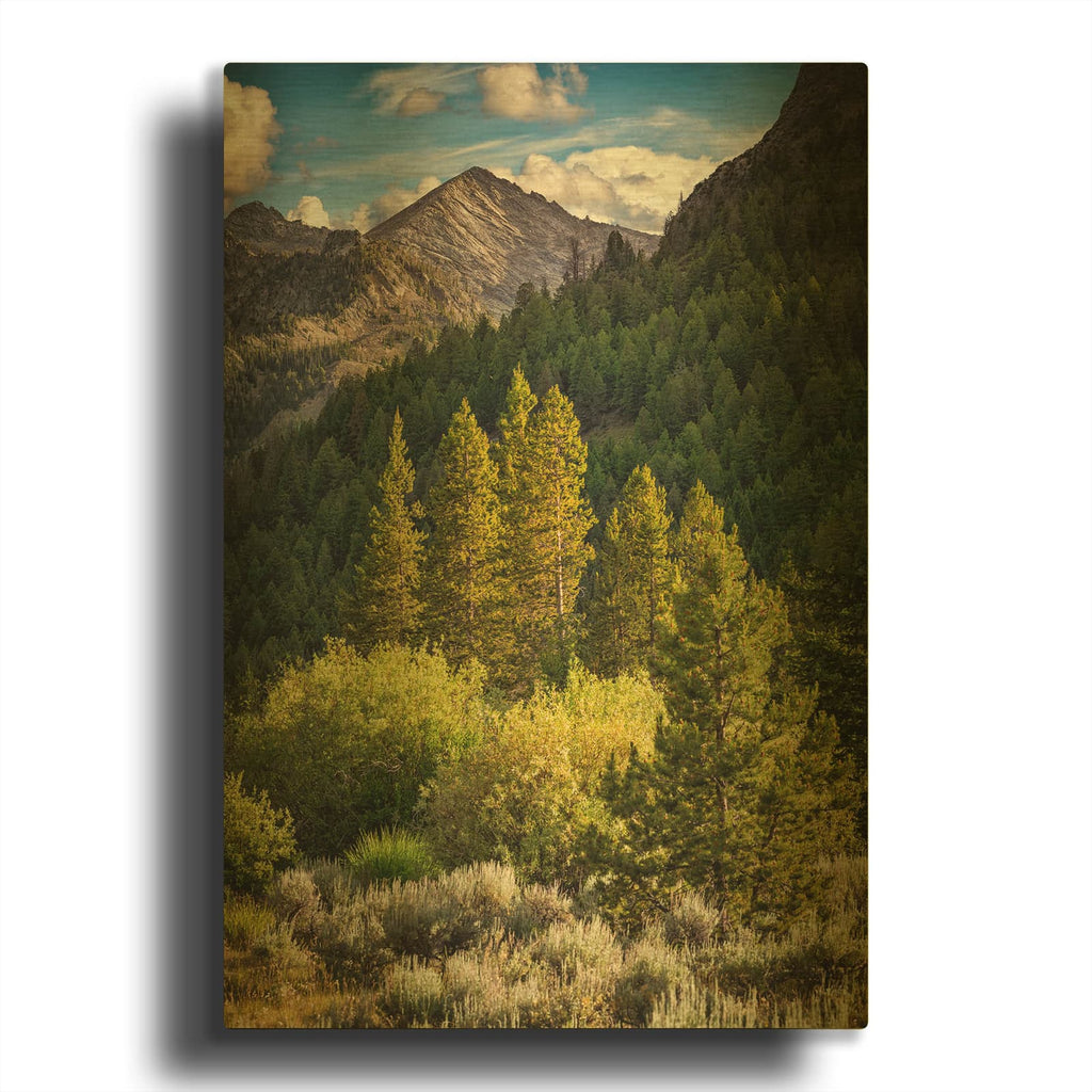 'In The Pioneer Mountains' By Rick Berk Gold Metal Wall Art