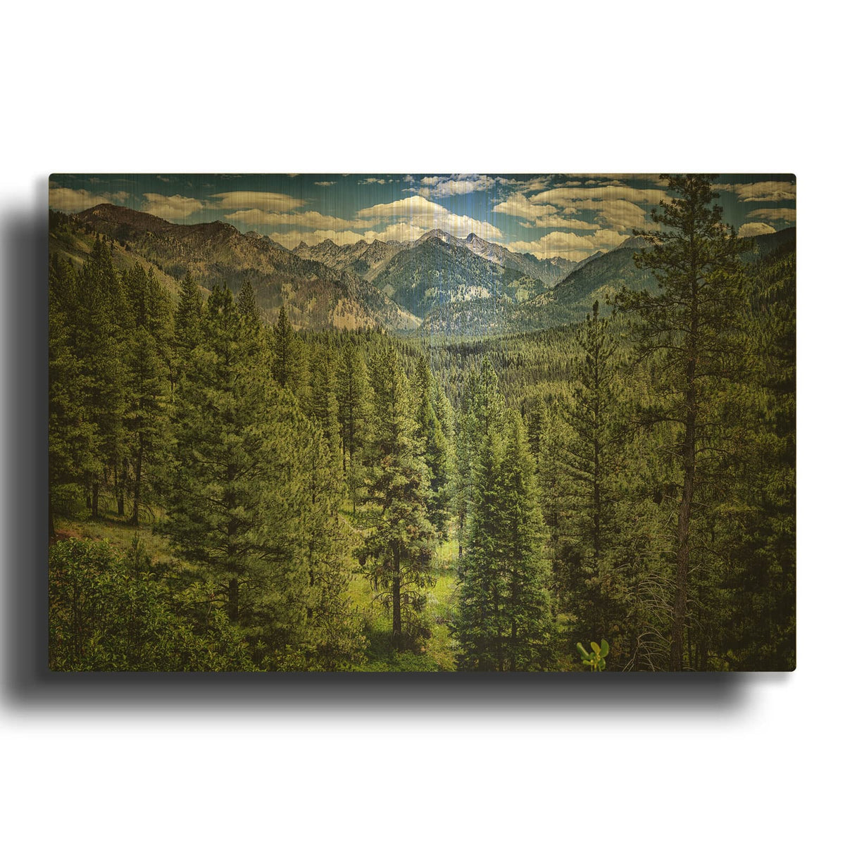 'Grandjean Overlook' By Rick Berk Gold Metal Wall Art