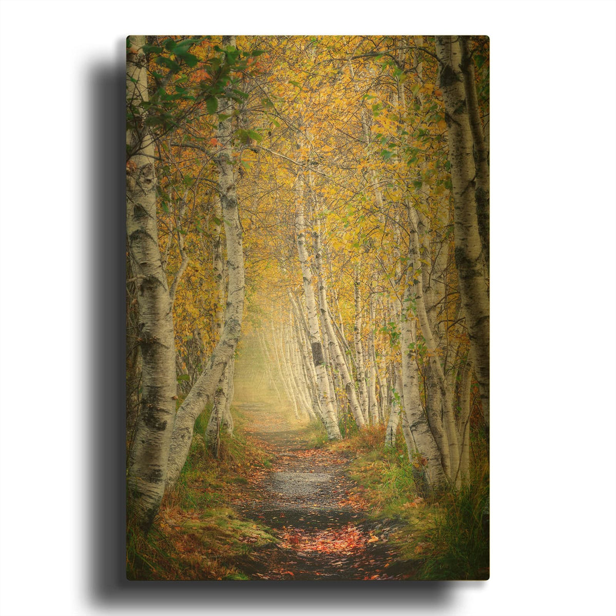 'Jesup Path' By Rick Berk Gold Metal Wall Art