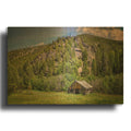 'Abandined Cabin Custer Id' By Rick Berk Gold Metal Wall Art
