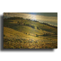 'Sawtooth Foothills Ii' By Rick Berk Gold Metal Wall Art