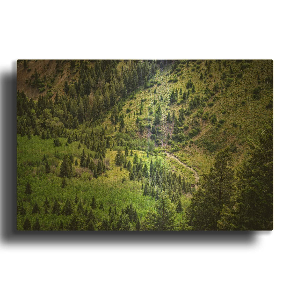 'Sun Valley' By Rick Berk Gold Metal Wall Art