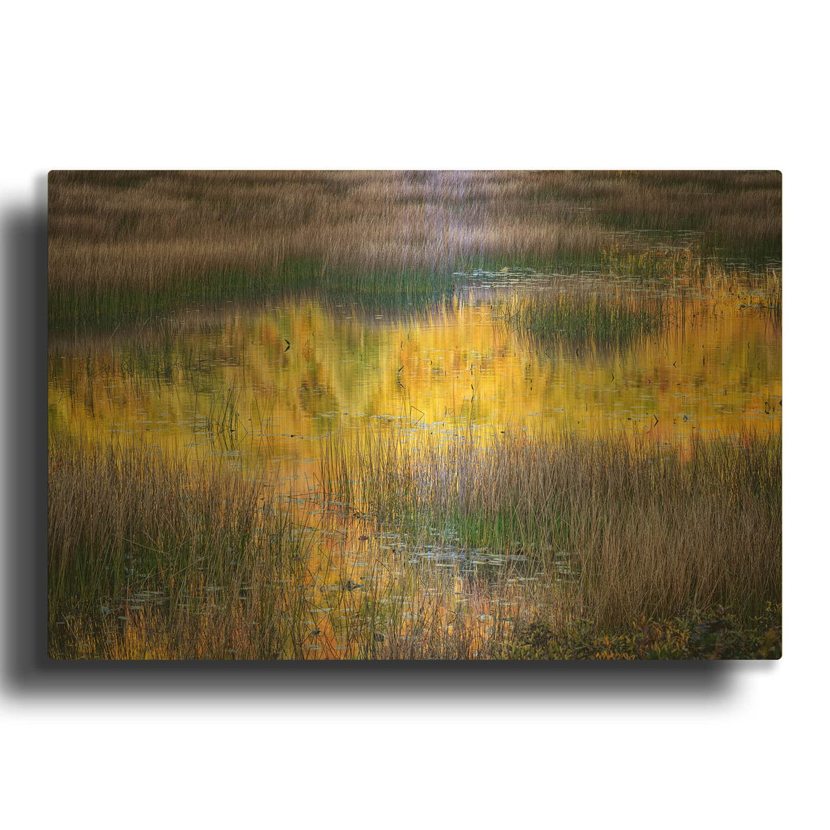 'The Tarn' By Rick Berk Gold Metal Wall Art