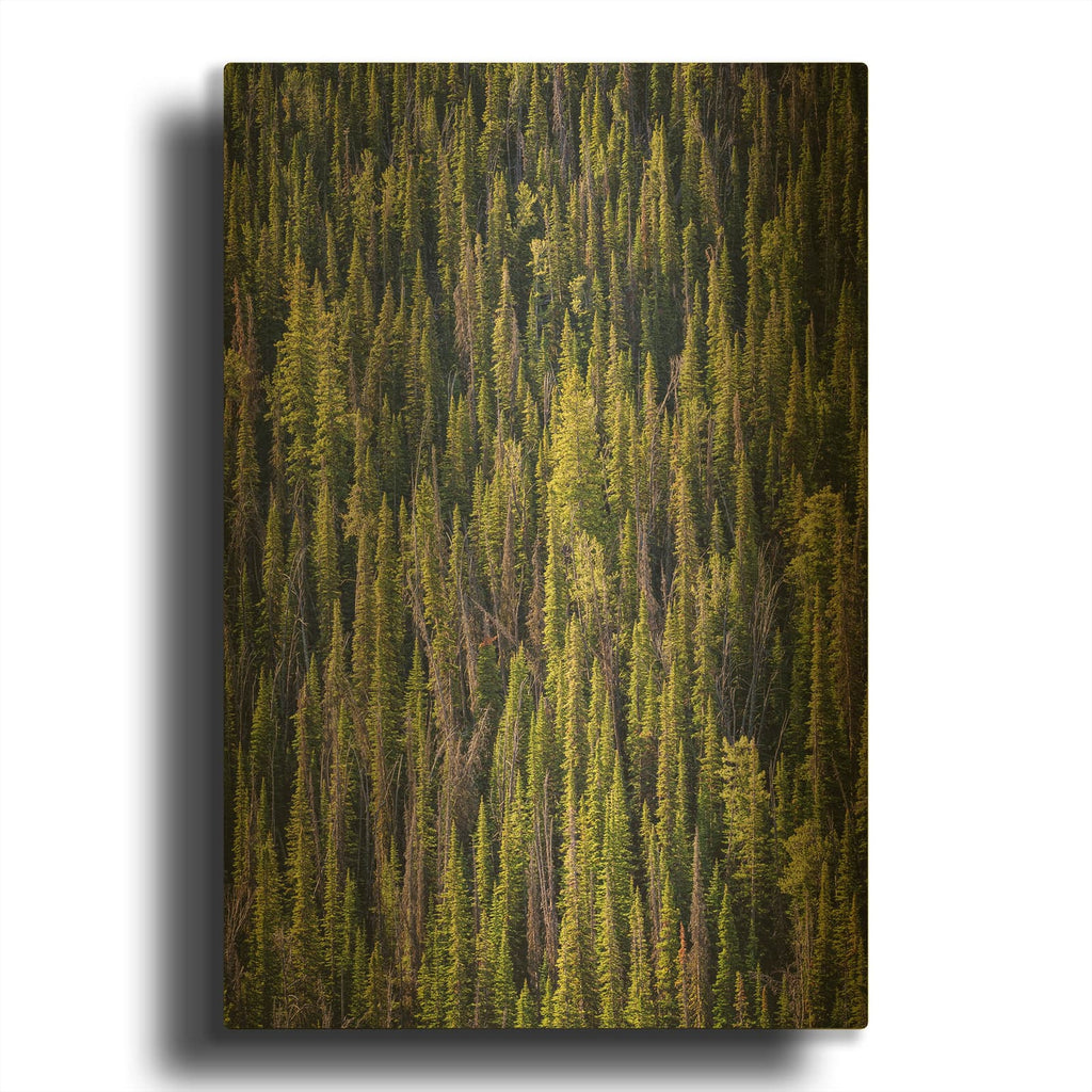 'Sawtooth Foothills III' By Rick Berk Gold Metal Wall Art