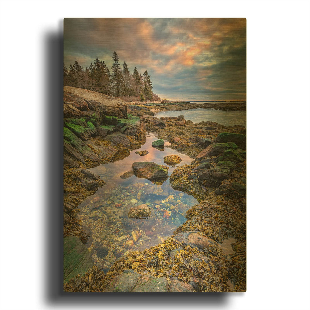 'Tidal Serenity' By Rick Berk Gold Metal Wall Art