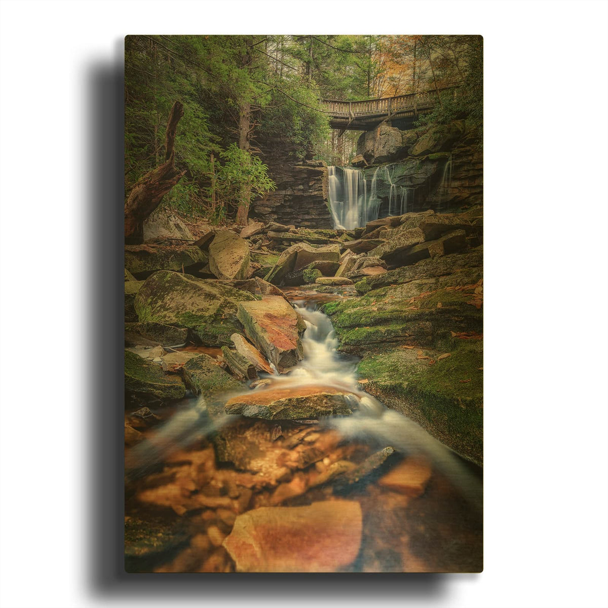 'Elakala Upper Falls' By Rick Berk Gold Metal Wall Art