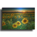 'Sunset In Aroostook County' By Rick Berk Gold Metal Wall Art