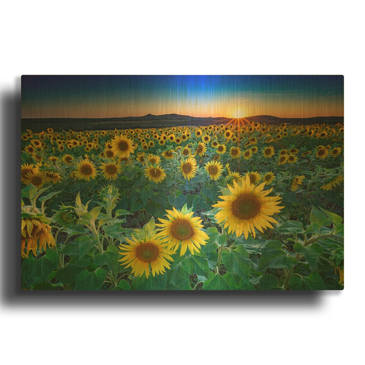 'Sunset In Aroostook County' By Rick Berk Gold Metal Wall Art
