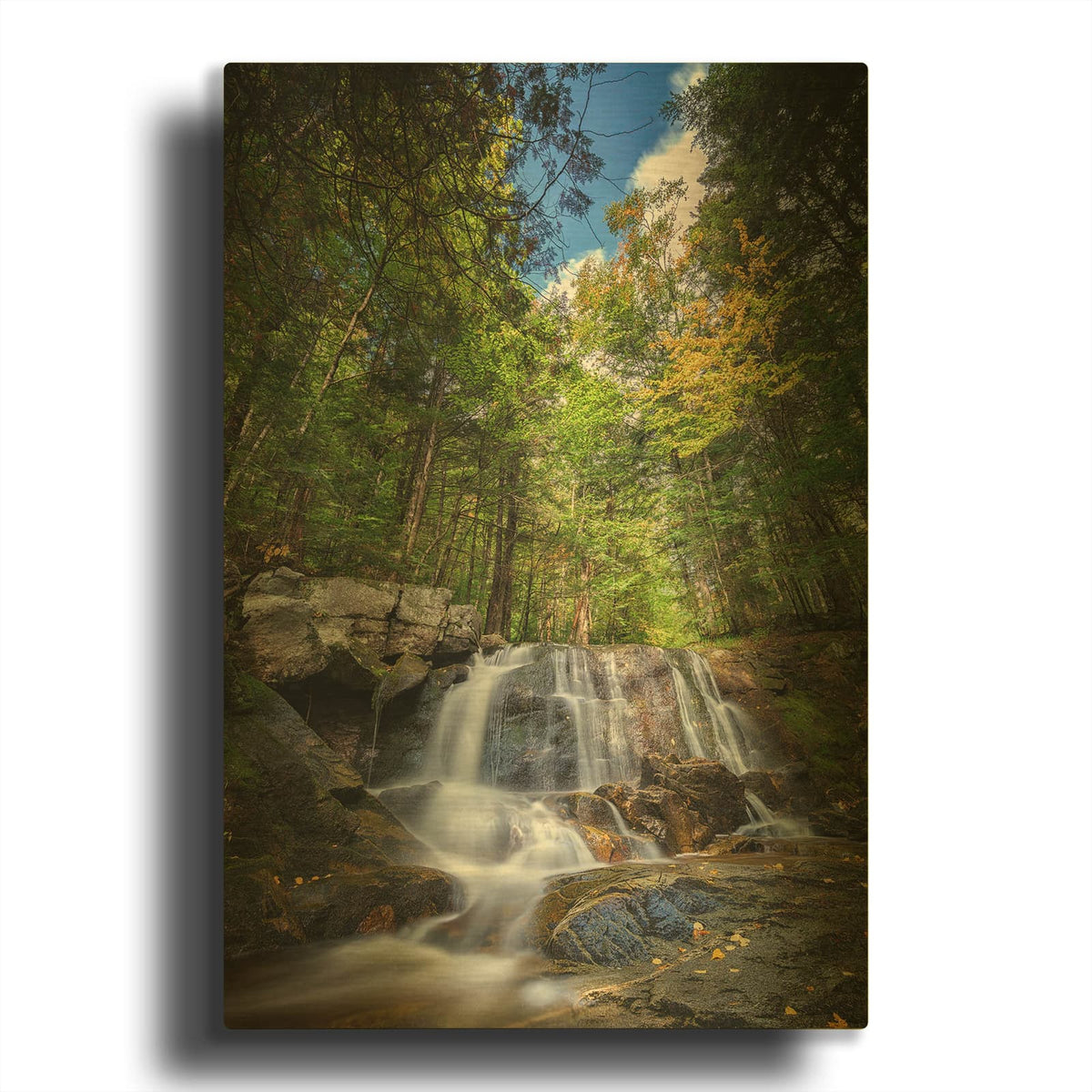 'Autumn In The Maine Woods' By Rick Berk Gold Metal Wall Art