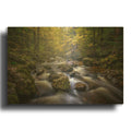 'Autumn Awakened' By Rick Berk Gold Metal Wall Art