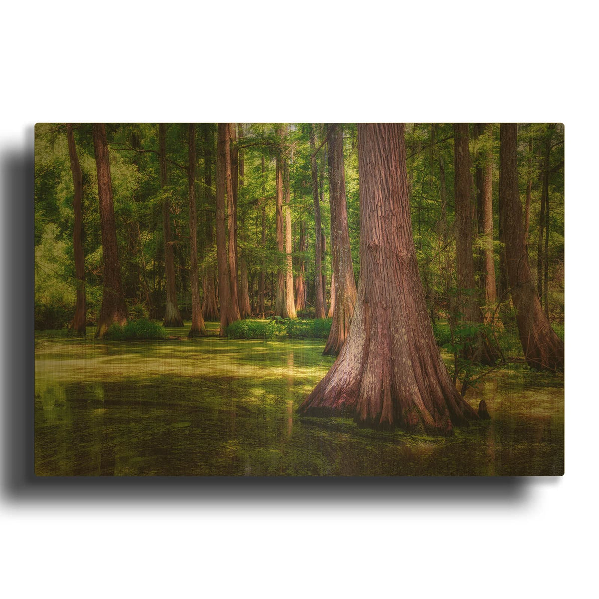 'Spring In The Bayou' By Rick Berk Gold Metal Wall Art