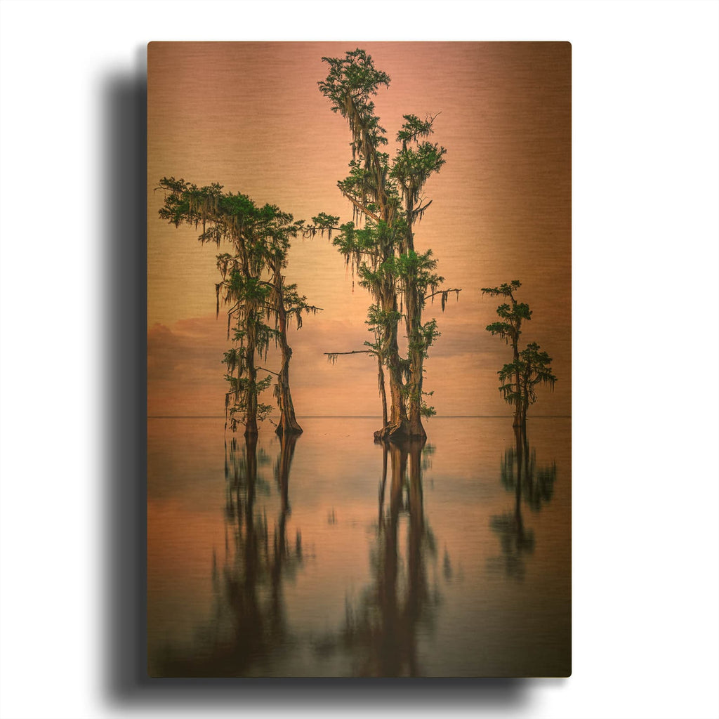 'Pink Twilight On Lake Maurepas' By Rick Berk Gold Metal Wall Art