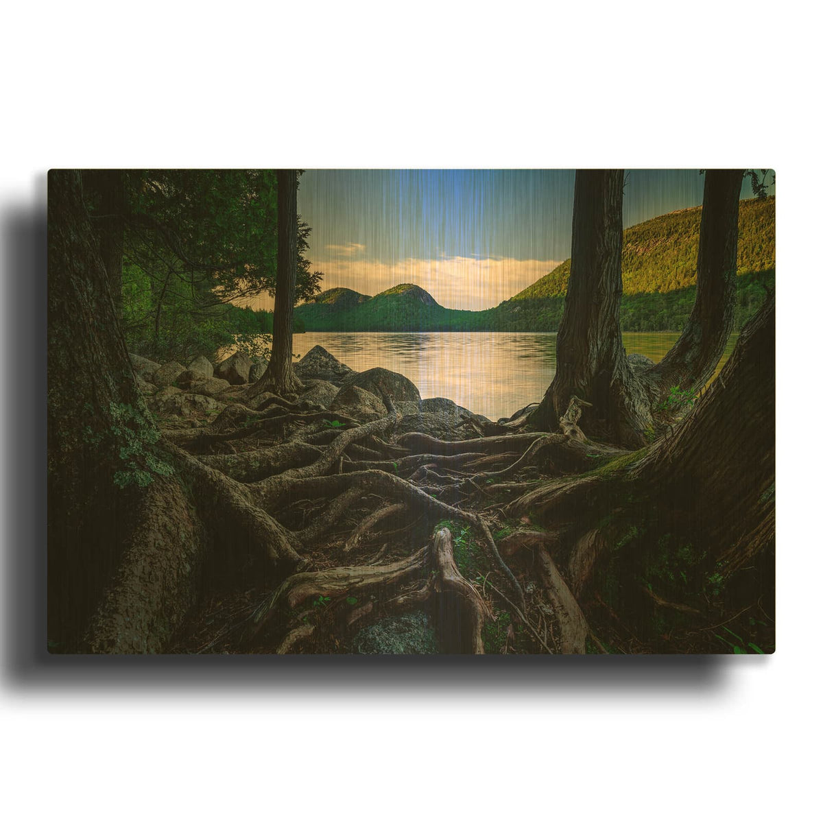 'Jordan Pond Through The Trees' By Rick Berk Gold Metal Wall Art