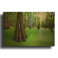 'Cypresses On Chicot Lake' By Rick Berk Gold Metal Wall Art