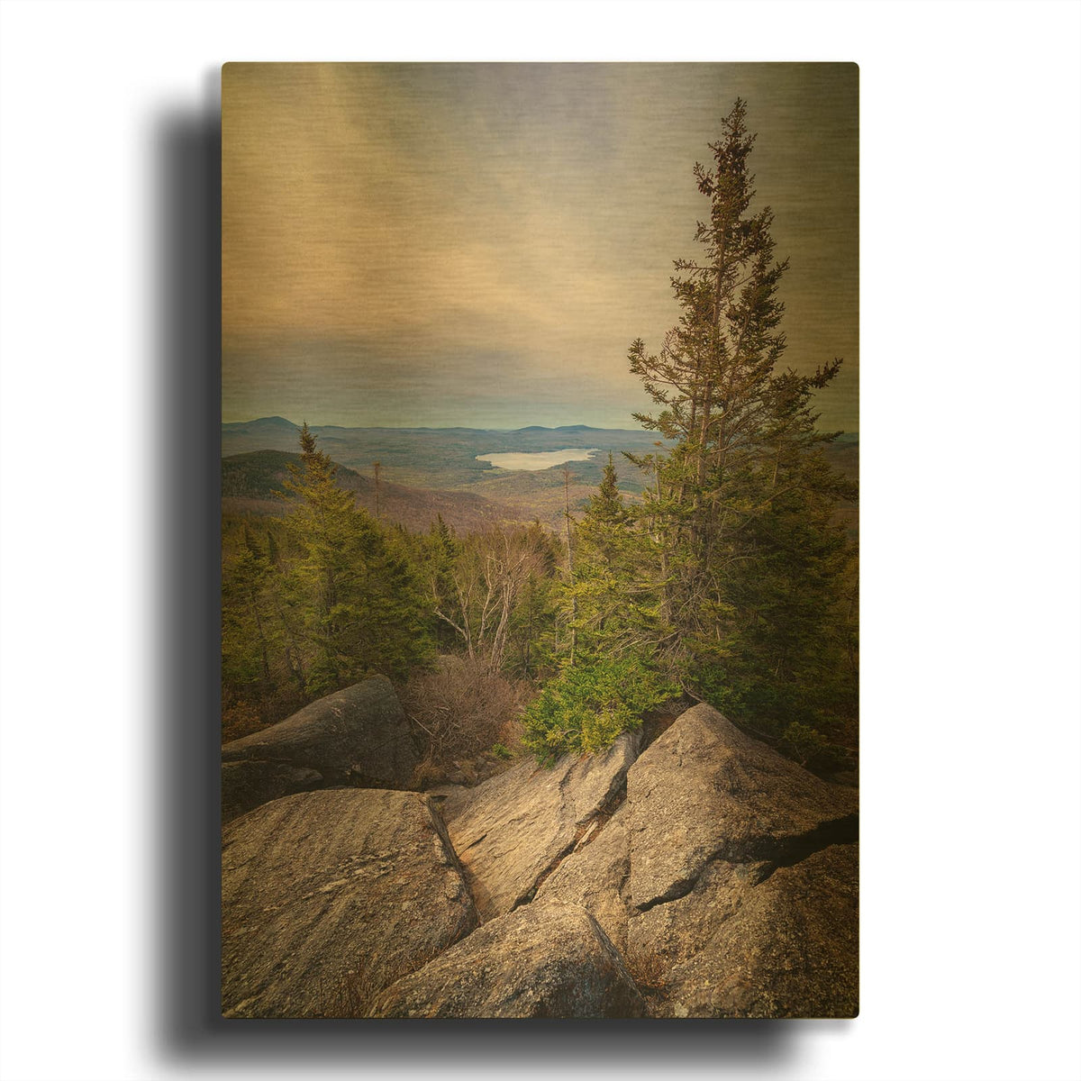 'View From Parker Ridge' By Rick Berk Gold Metal Wall Art