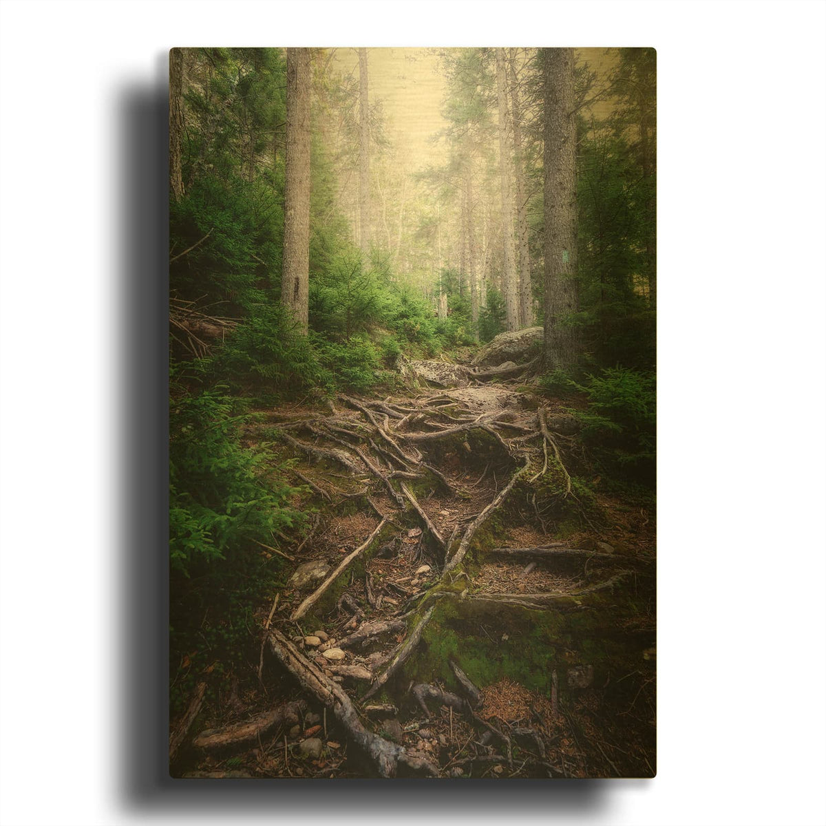 'The Forest Gates' By Rick Berk Gold Metal Wall Art