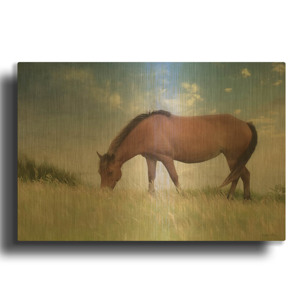 'Assataegue Horse' By Lori Deiter Gold Metal Wall Art