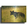 'Black Bear Cub' By Rick Berk Gold Metal Wall Art
