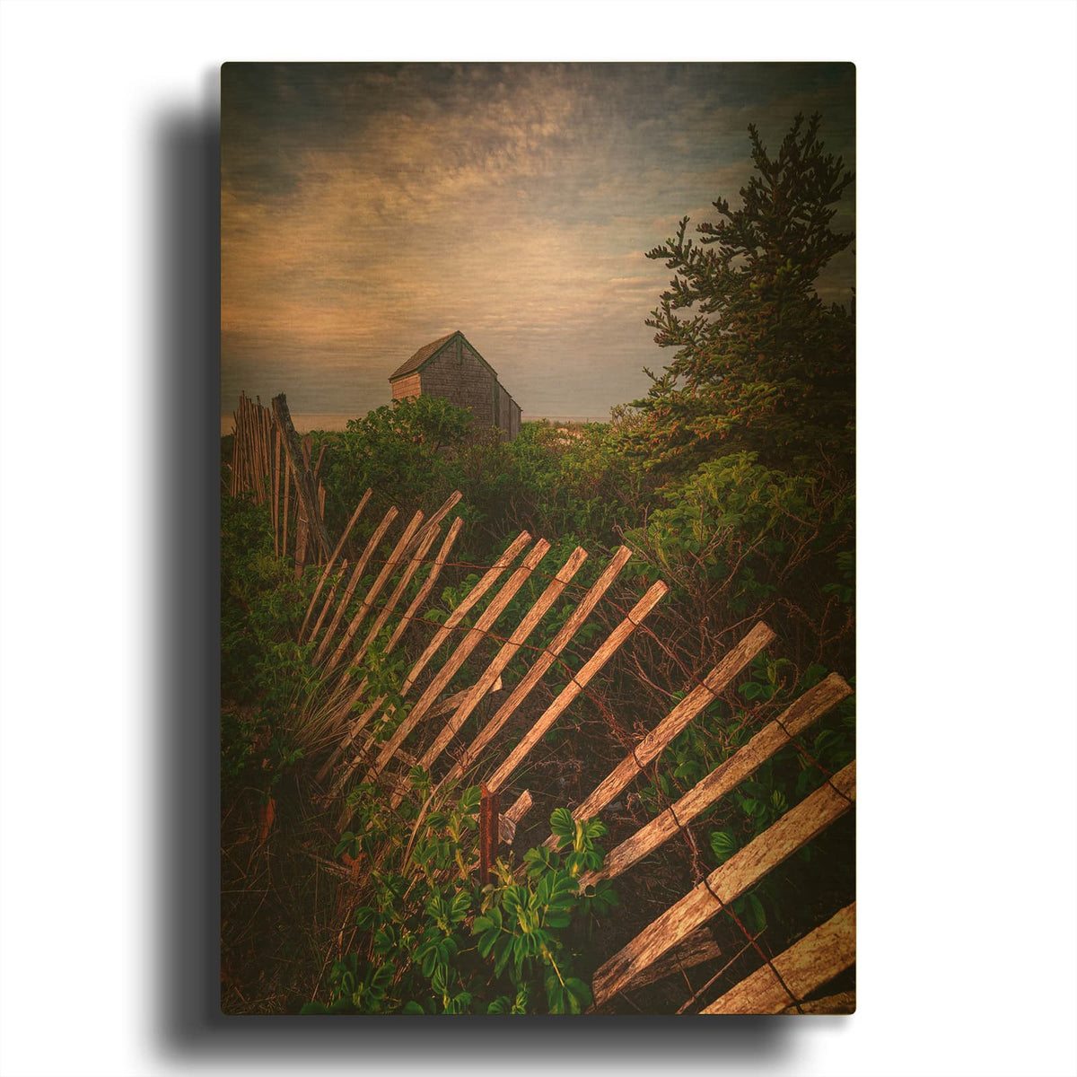 'North Patrol Shack' By Rick Berk Gold Metal Wall Art