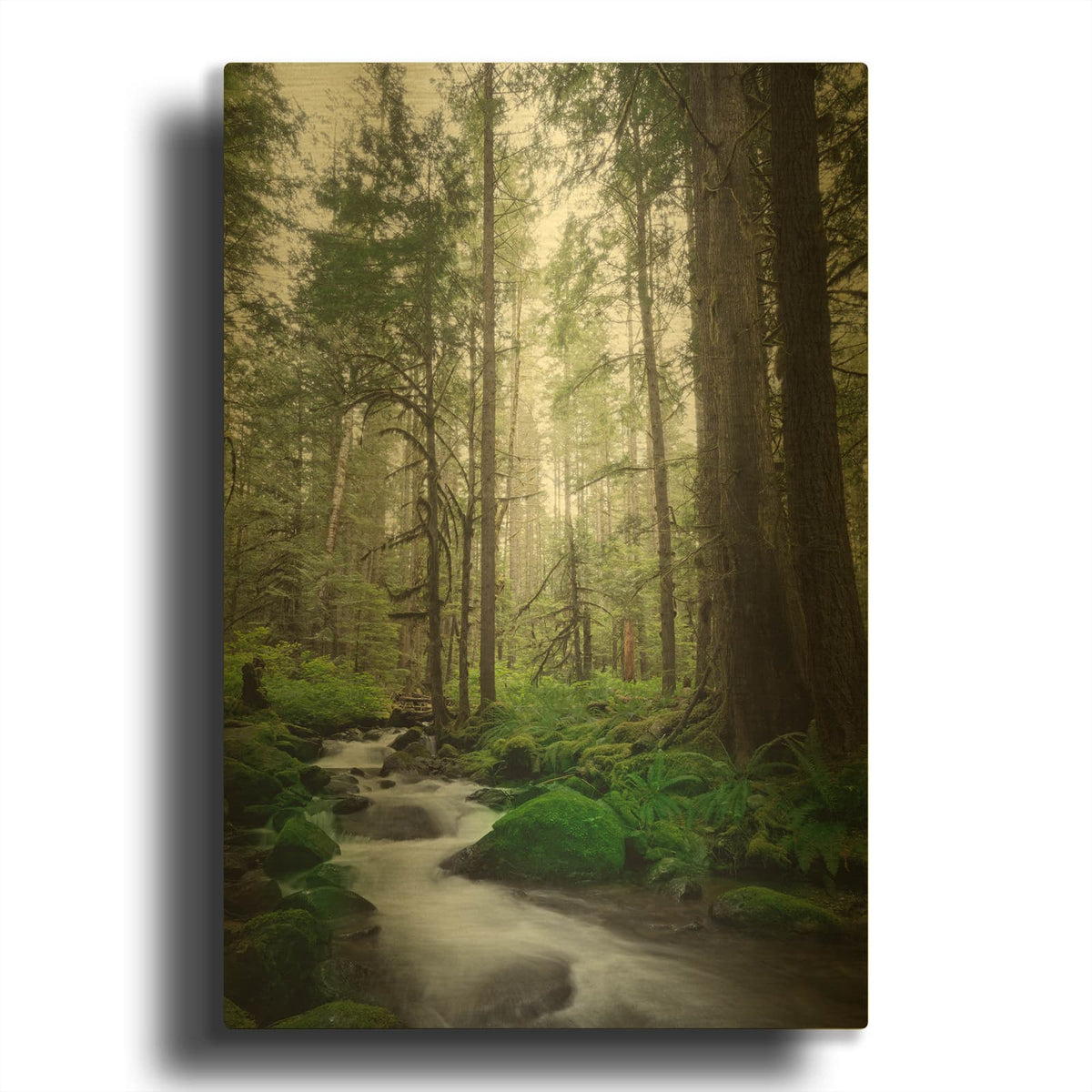'Woodland Cascades' By Rick Berk Gold Metal Wall Art