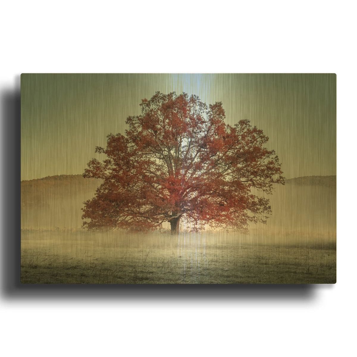 'Red Oak In The Mist' By Rick Berk Gold Metal Wall Art