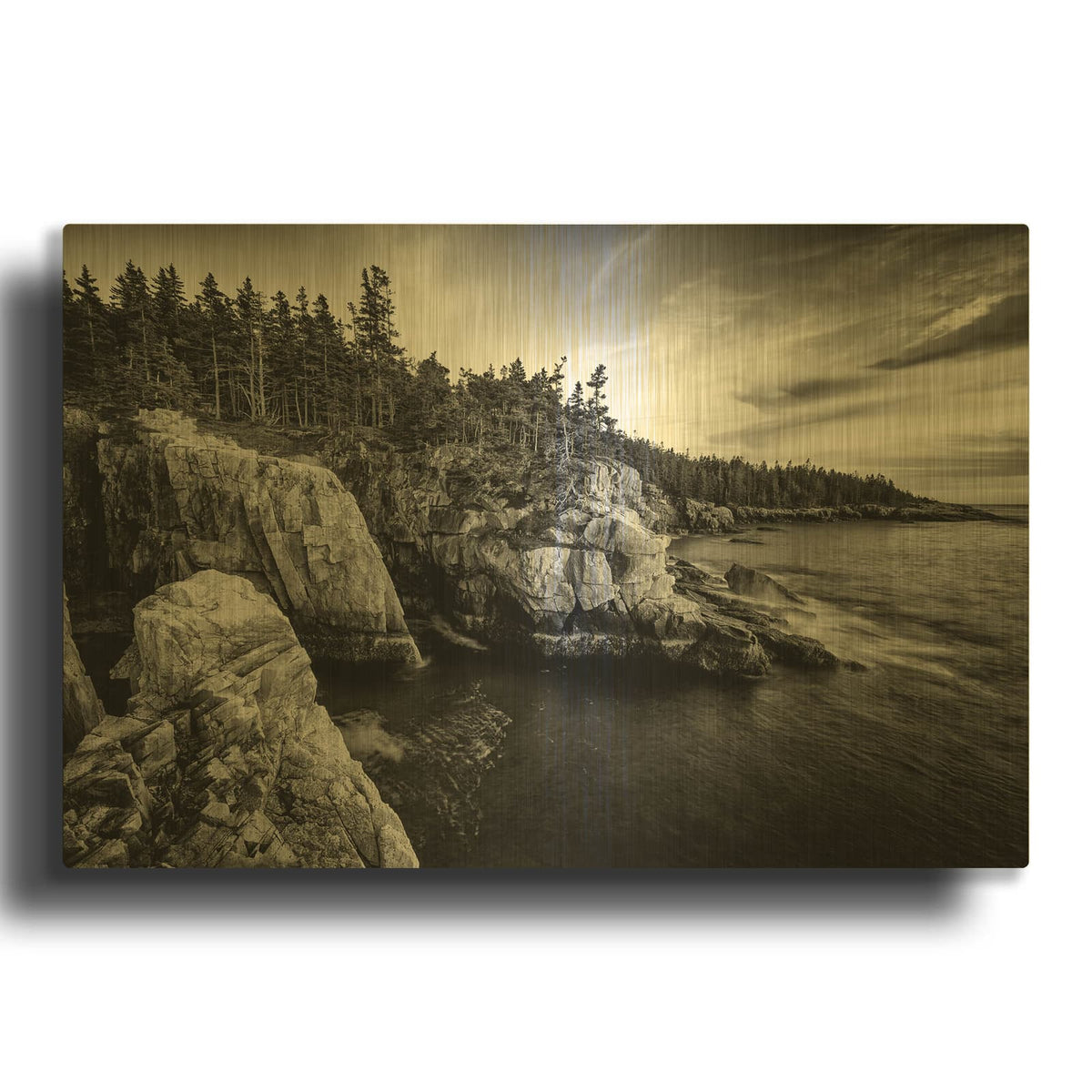 'Ravens Nest Monochrome' By Rick Berk Gold Metal Wall Art