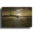 'Devils Tower Black & White' By Rick Berk Gold Metal Wall Art