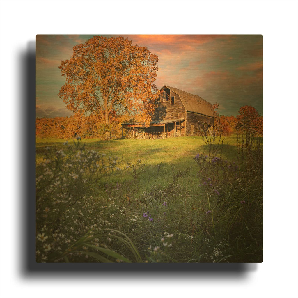 'Autumn Sunset By The Barn' By Rick Berk Gold Metal Wall Art