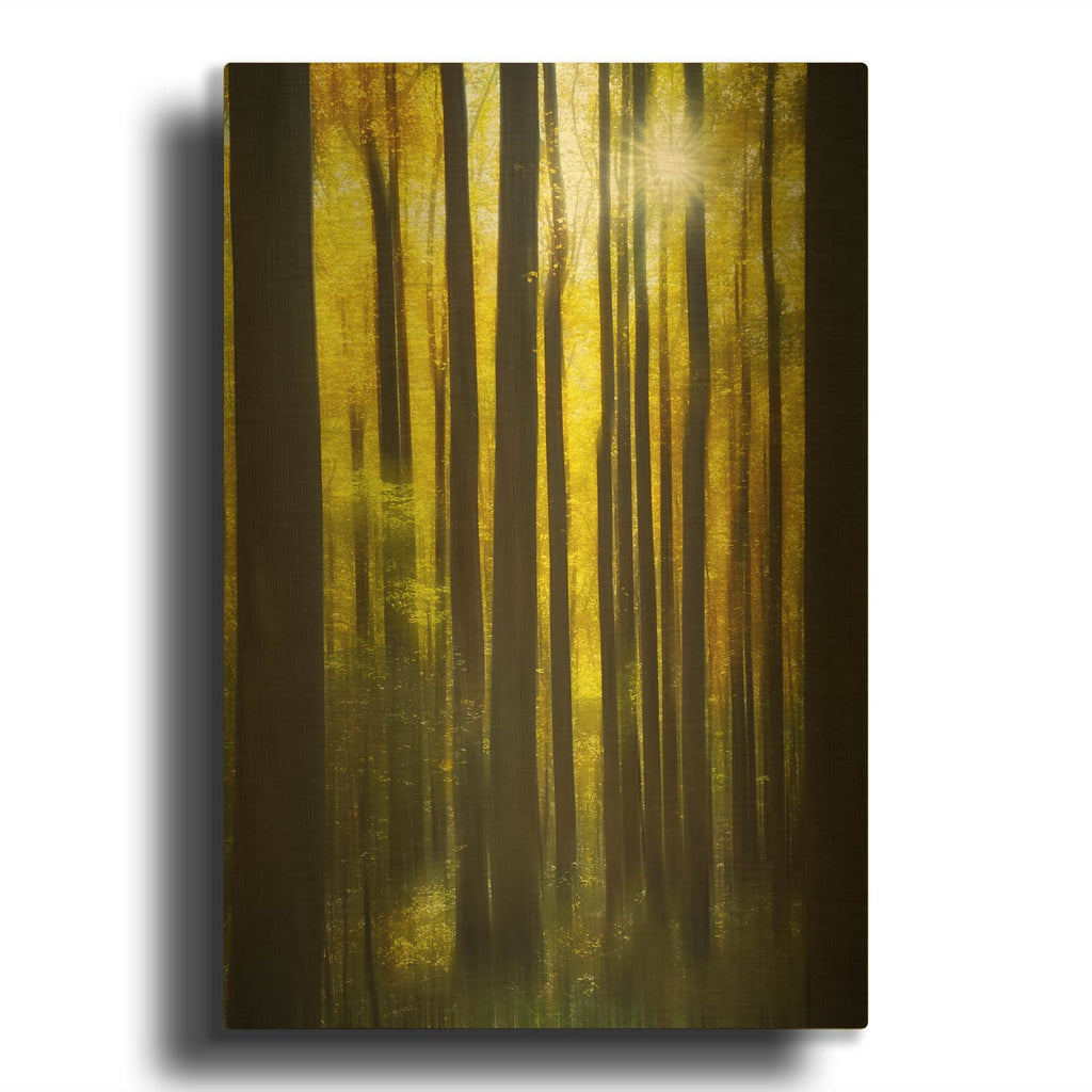 'Autumn Forest Dream' By Rick Berk Gold Metal Wall Art