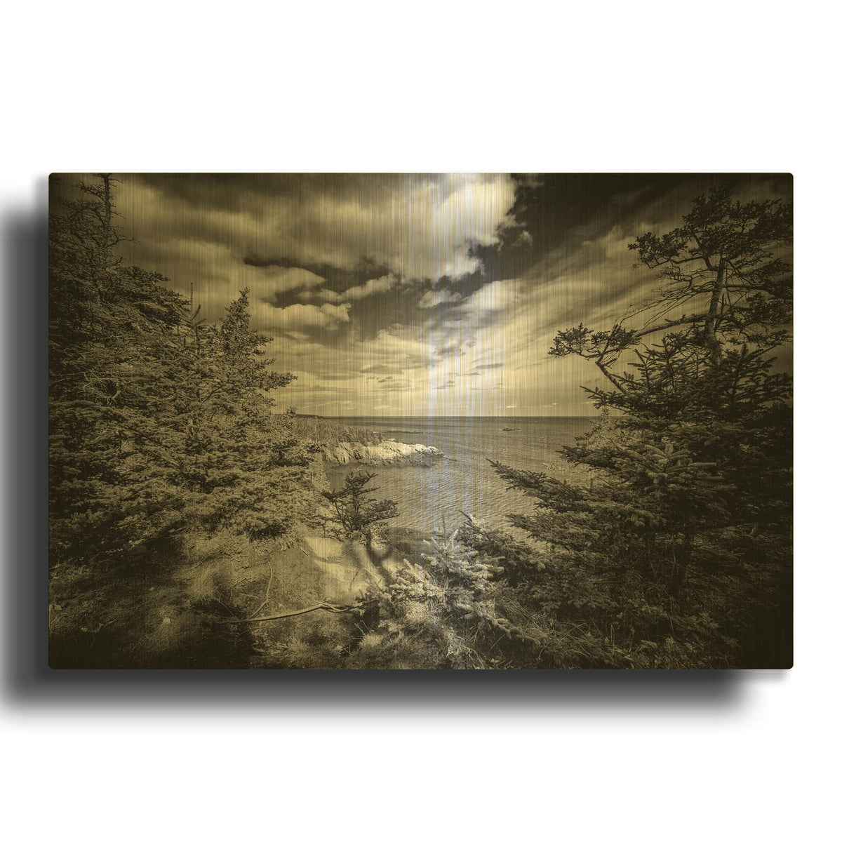 'Autumn Afternoon At West Quoddy Head' By Rick Berk Gold Metal Wall Art