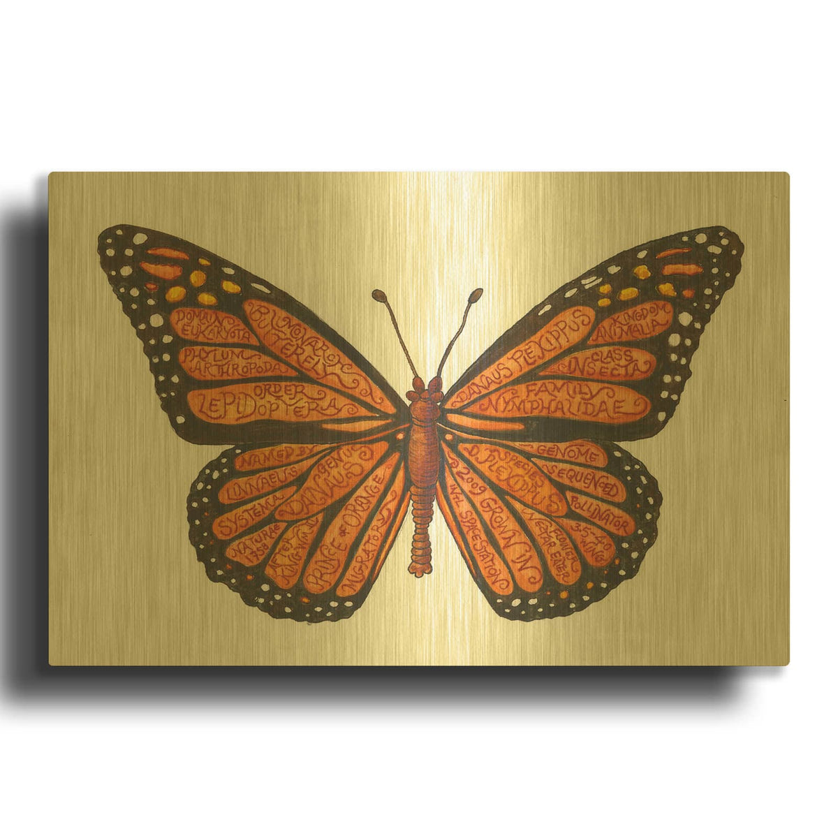 'Monarch Butterfly' By Andrea Strongwater Gold Metal Wall Art