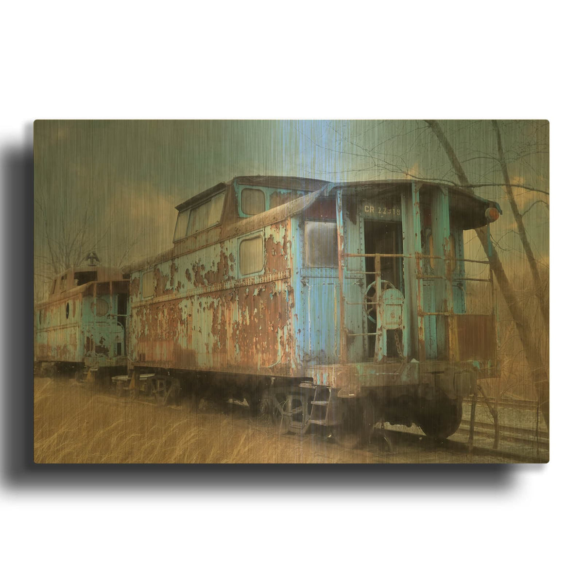 'The Dalmatia Run' By Lori Deiter Gold Metal Wall Art