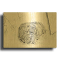 'A Roll In The Snow' By Darlene Pavlovich Gold Metal Wall Art