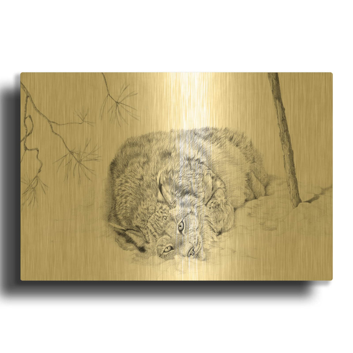 'A Roll In The Snow' By Darlene Pavlovich Gold Metal Wall Art