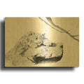'Afternoon Nap' By Darlene Pavlovich Gold Metal Wall Art