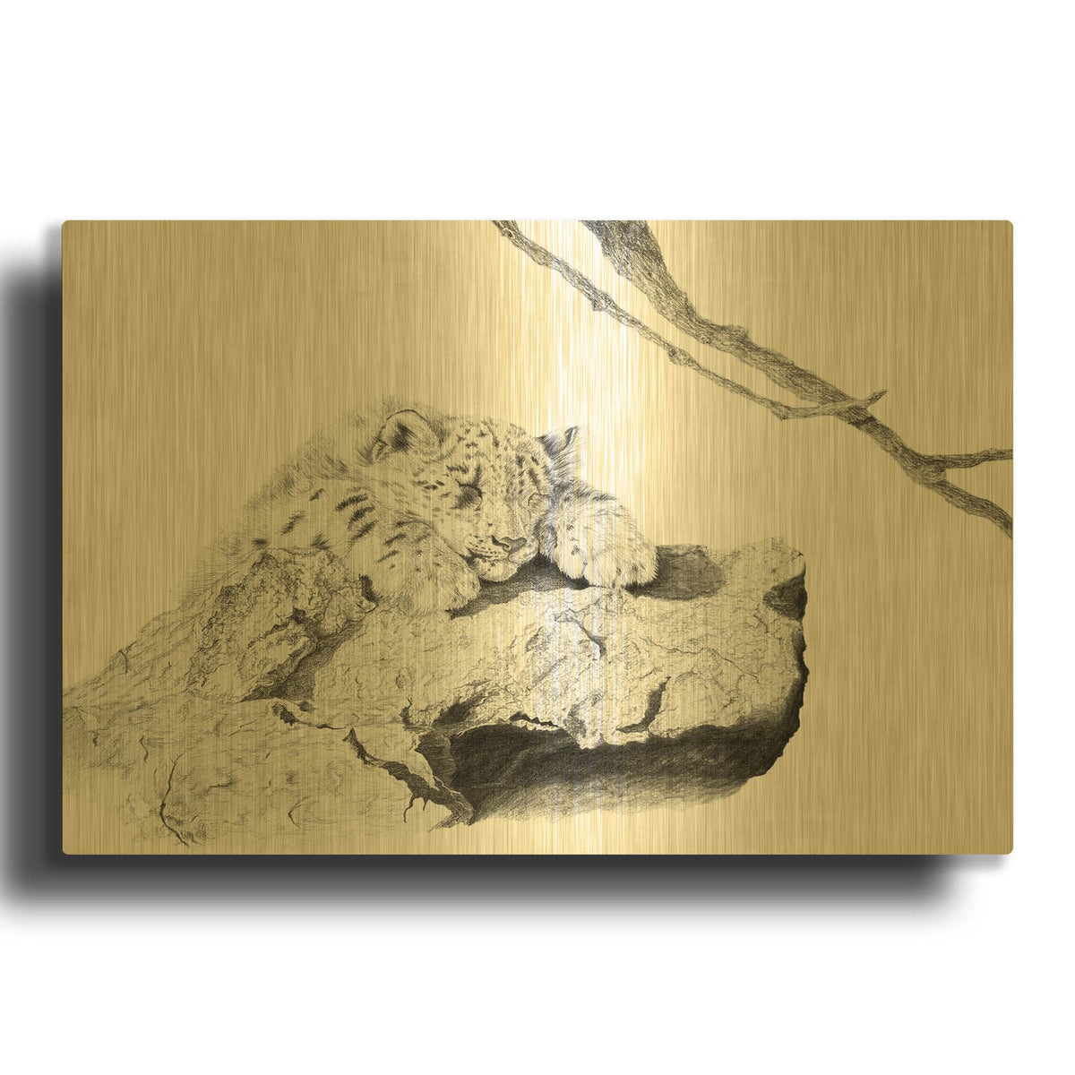 'Afternoon Nap' By Darlene Pavlovich Gold Metal Wall Art