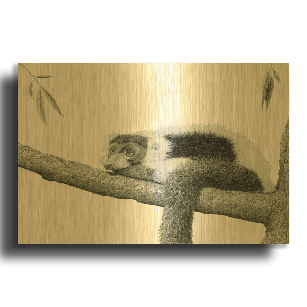 'Madagascar Velvet' By Darlene Pavlovich Gold Metal Wall Art