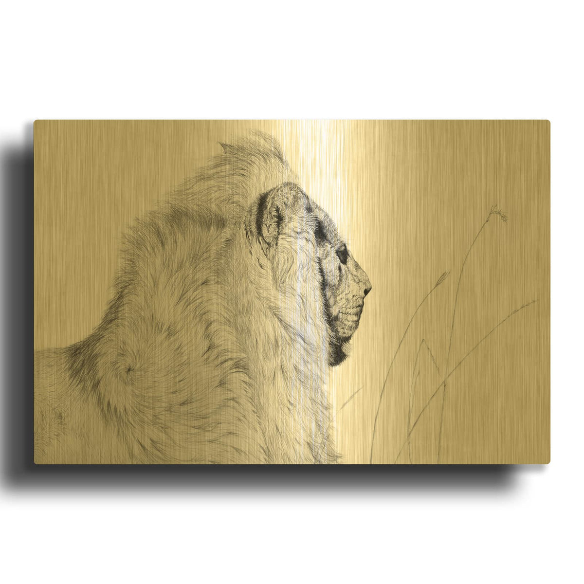 'Magnificence In Repose' By Darlene Pavlovich Gold Metal Wall Art
