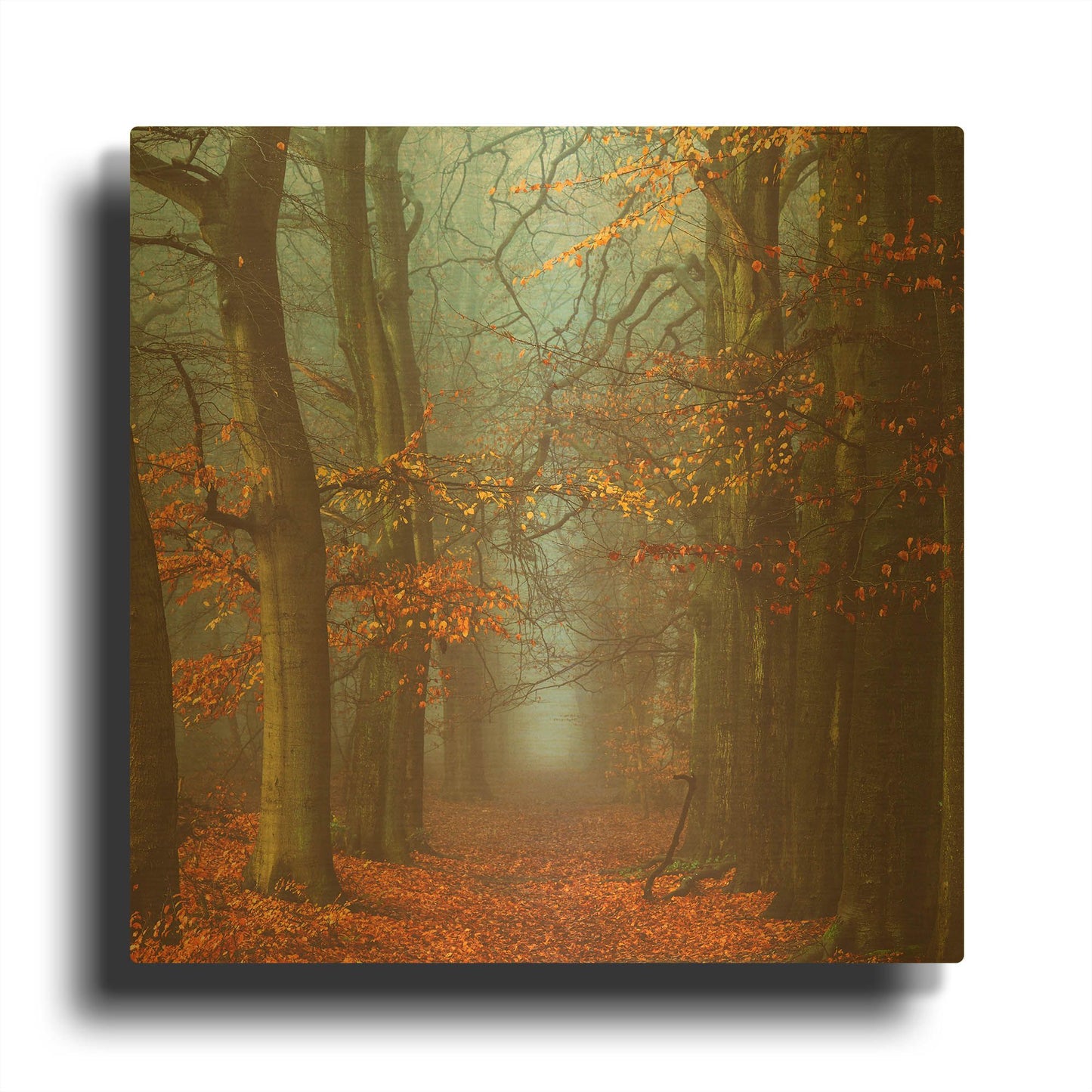 'Path of The Mystics' By Lars van de Goor Gold Metal Wall Art