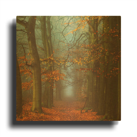 'Path of The Mystics' By Lars van de Goor Gold Metal Wall Art