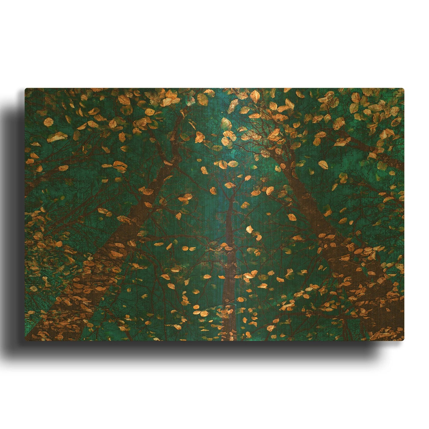 'Plato' By Lars van de Goor Gold Metal Wall Art