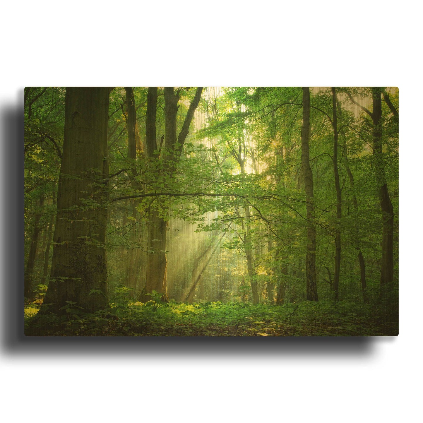 'Breathe' By Lars van de Goor Gold Metal Wall Art