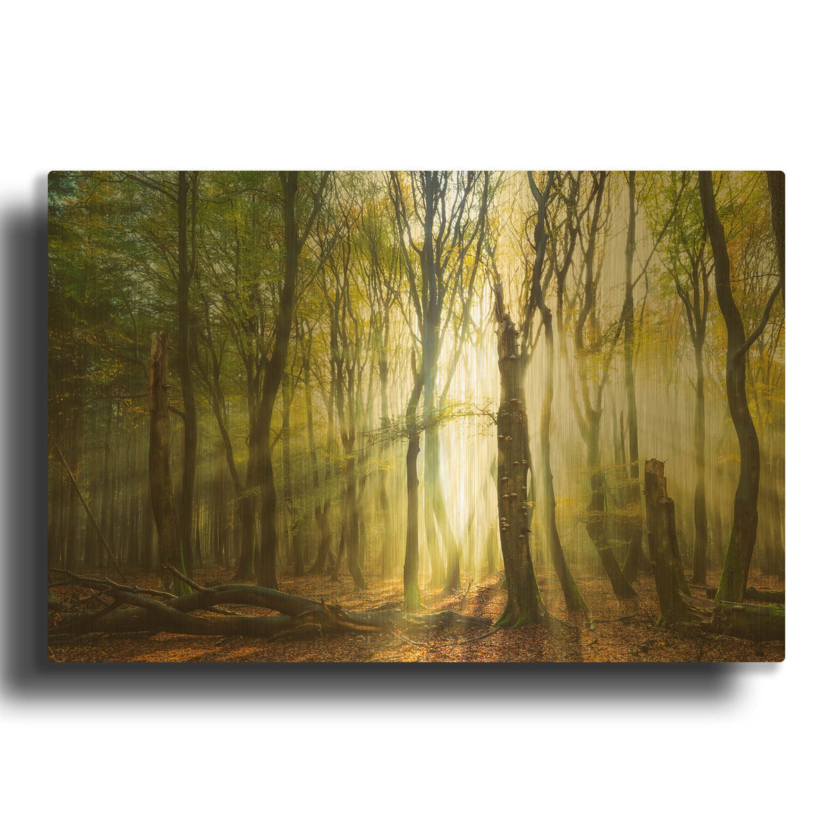 'Still Standing' By Lars van de Goor Gold Metal Wall Art